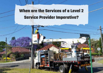 When are the Services of a Level 2 Service Provider Imperative_