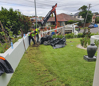 Electrical Service