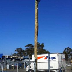 200amp service line to a 4kn-pole