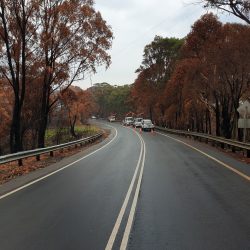 January 2020 bushfire repairs 1