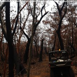 January 2020 bushfire repairs 2