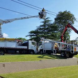 Level 2 service provider live line work