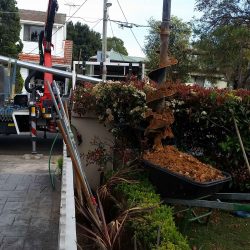 Power pole fallen