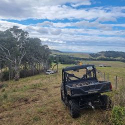 Power pole installation