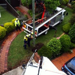 Power pole installation work by Eris