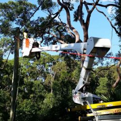 Power pole line work