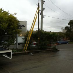 Replace condemned private pole with 8 meter 2 kn treated hard wood pole
