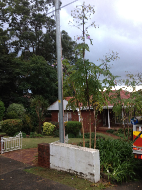 Replaced fallen power pole