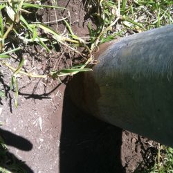 Rusted bottom end of pole