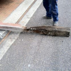 This is why power poles fall