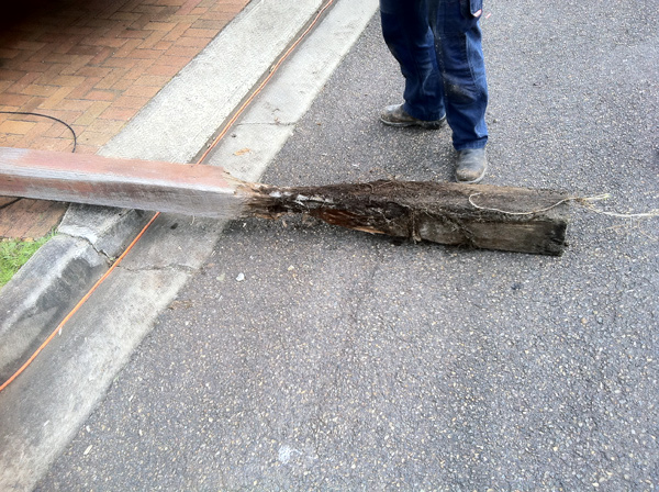 This is why power poles fall